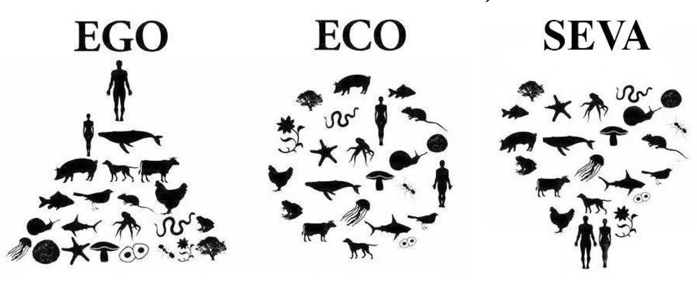 Progression and Conceptual Adjustment